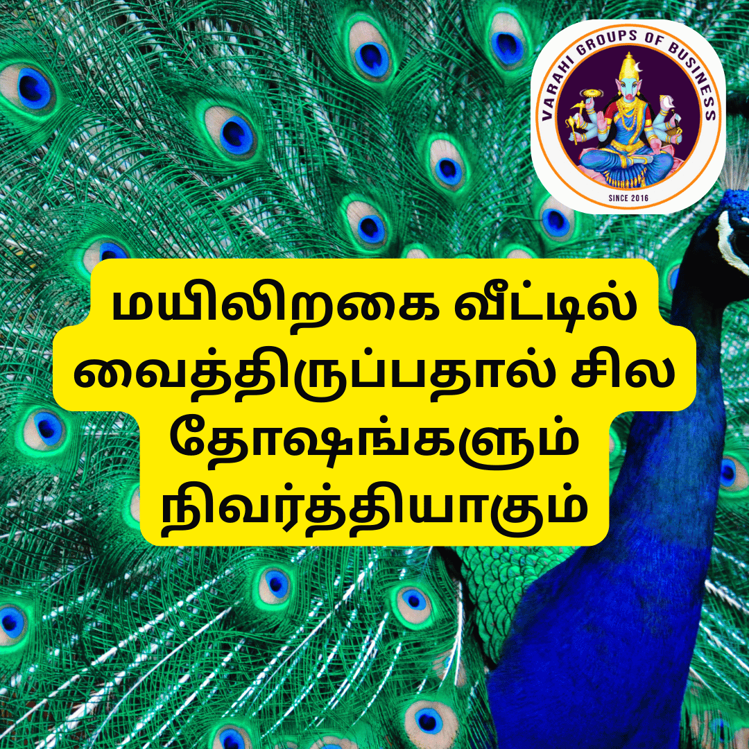 மயிலிறகை வீட்டில் வைத்திருப்பதால் சில தோஷங்களும் நிவர்த்தியாகும்